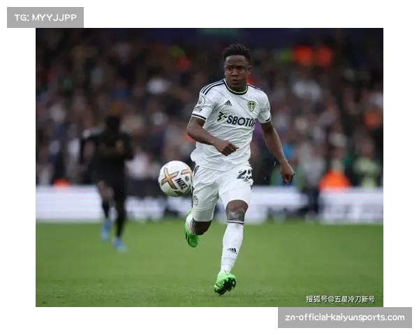 佩雷拉VS希尔二番战前瞻：站立打击专家与全能冠军的重赛胜负手